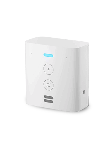Amazon Echo Flex