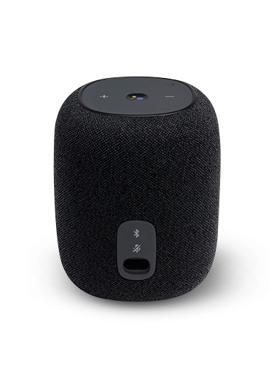 JBL Link Music