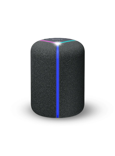 Sony XB420M Extra Bass Speaker with Amazon Alexa..