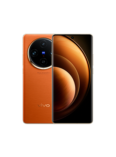 Vivo X100 Pro