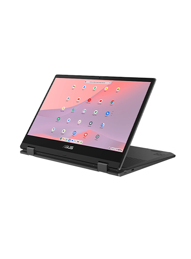 Asus CM14 Flip